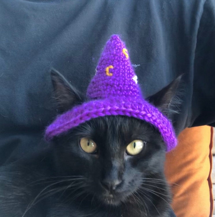 Purple Wizard Cat Hat Wizard Hat for Cat Wizard Hat for 