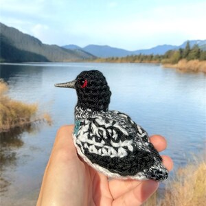 May include: A crocheted bird with black and white feathers and red eyes. The bird is sitting in a person's hand with a lake and mountains in the background.