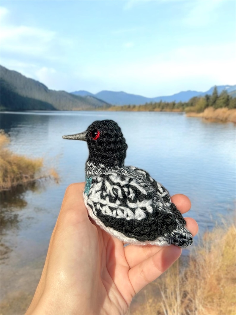 May include: A crocheted bird with black and white feathers and red eyes. The bird is sitting in a person's hand with a lake and mountains in the background.