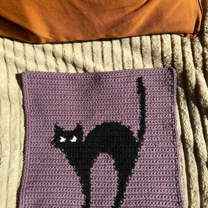 Pode incluir: Uma almofada quadrada de croch&ecirc; com um design de gato preto sobre um fundo roxo.