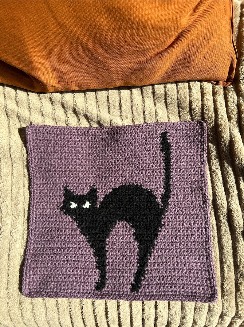 Pode incluir: Uma almofada quadrada de croch&ecirc; com um design de gato preto sobre um fundo roxo.