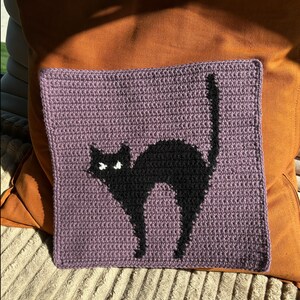 Pode incluir: Uma almofada de croch&ecirc; roxa com uma silhueta de gato preto no centro. O gato tem olhos brancos e est&aacute; virado para o lado direito da almofada.