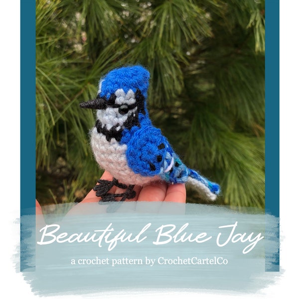 Beau motif au crochet écrit Blue Jay | Motif au crochet d'oiseau réaliste | Geai bleu | TÉLÉCHARGEMENT INSTANTANÉ DU PDF | Images étape par étape