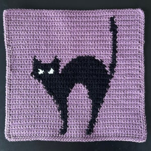 Pode incluir: Uma almofada de croch&ecirc; com uma silhueta de gato preto sobre um fundo roxo.
