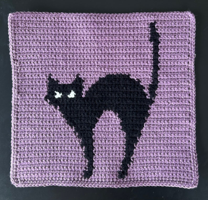 Pode incluir: Uma almofada de croch&ecirc; com uma silhueta de gato preto sobre um fundo roxo.