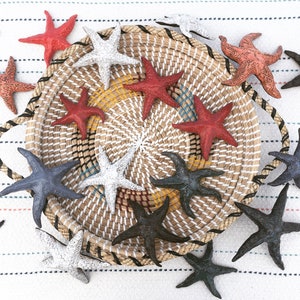 Ceramic Starfish