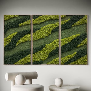 Preserved Moss Hanging Home Decor Wall Art