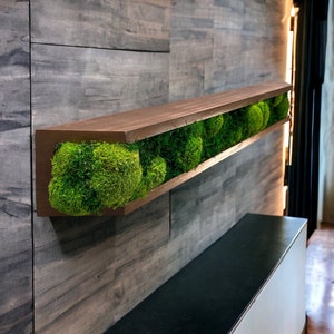 Floating Moss Shelves