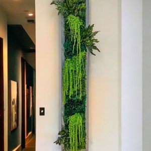 Moss Art Strips with Preserved Moss and Amaranthus
