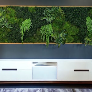 Green Oasis Preserved Moss Wall Art