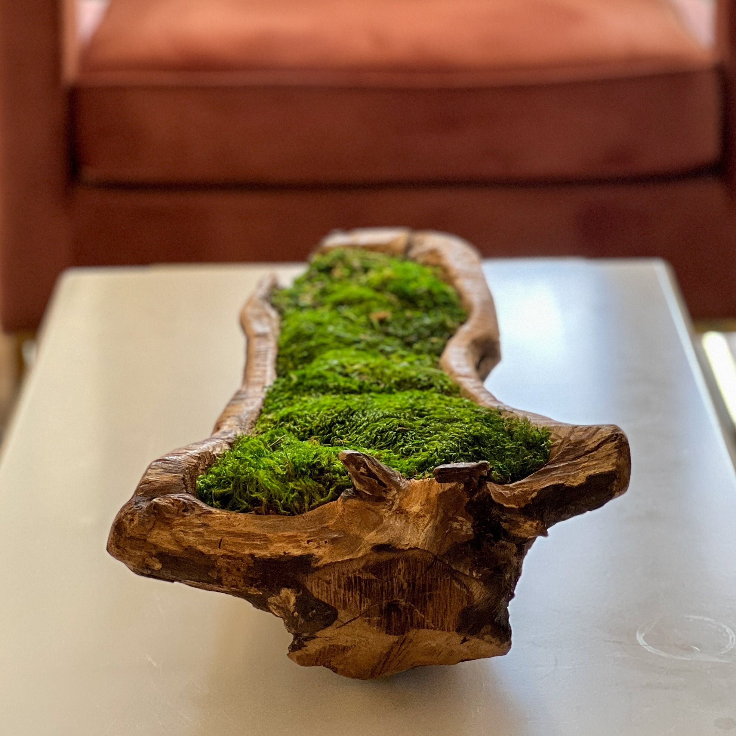 Rustic Wood Moss Bowl Centerpiece Preserved Moss Arrangement