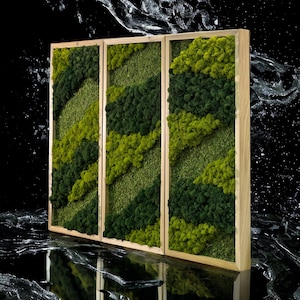 Preserved Moss Hanging Home Decor Wall Art