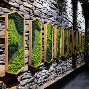 Moss Wall Art - Extended Hexagon, Unique Wall Art