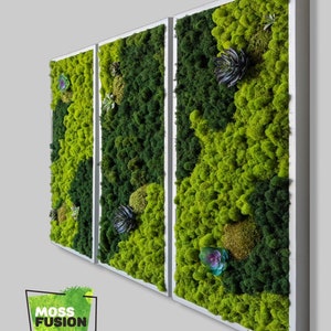 Mood Moss Wall Art Home Decor