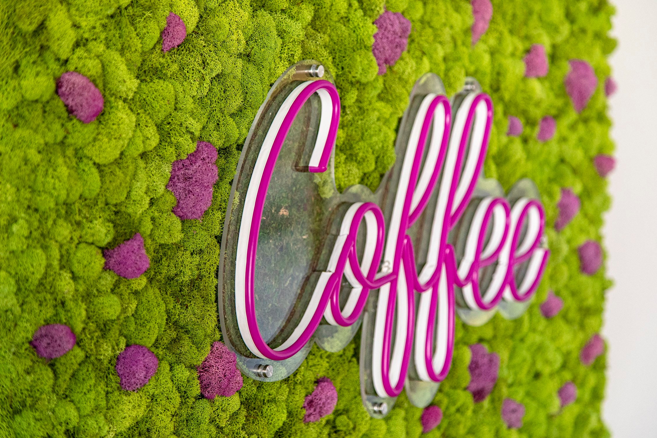 Moss & LED Neon Art Signs Etsy