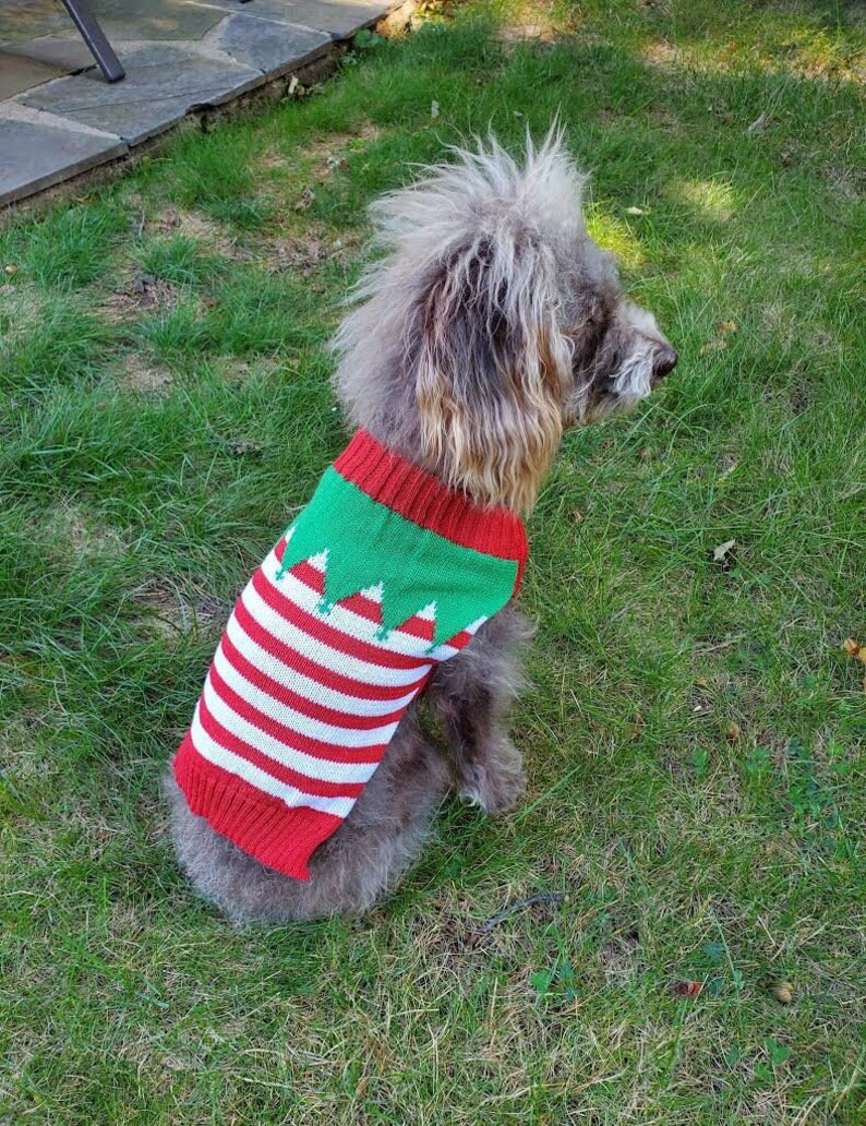 Christmas Dog Sweater Cute Festive Holiday Sweaters for Pets Etsy