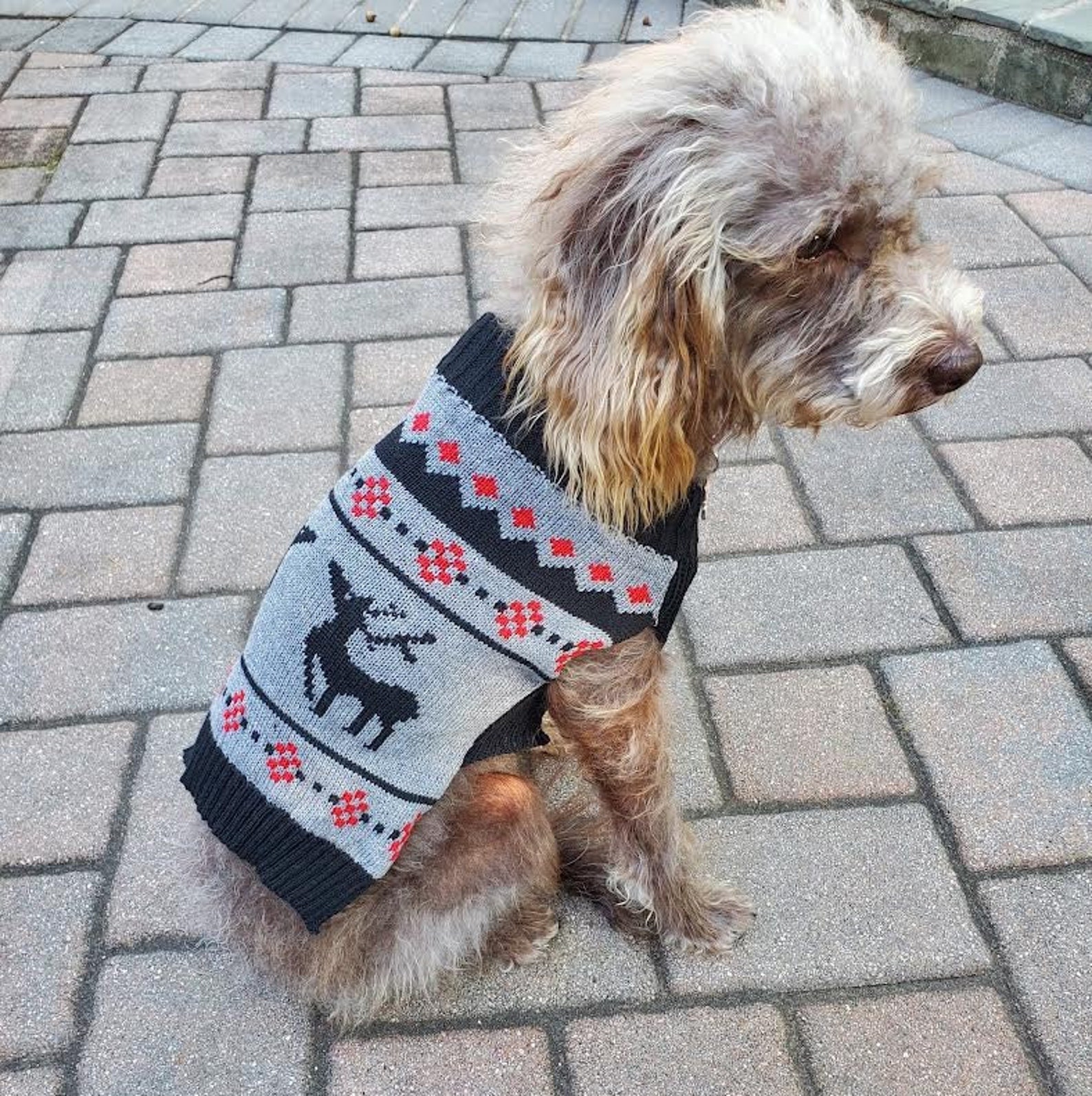 Christmas Dog Sweater Cute Festive Holiday Sweaters for Pets Etsy