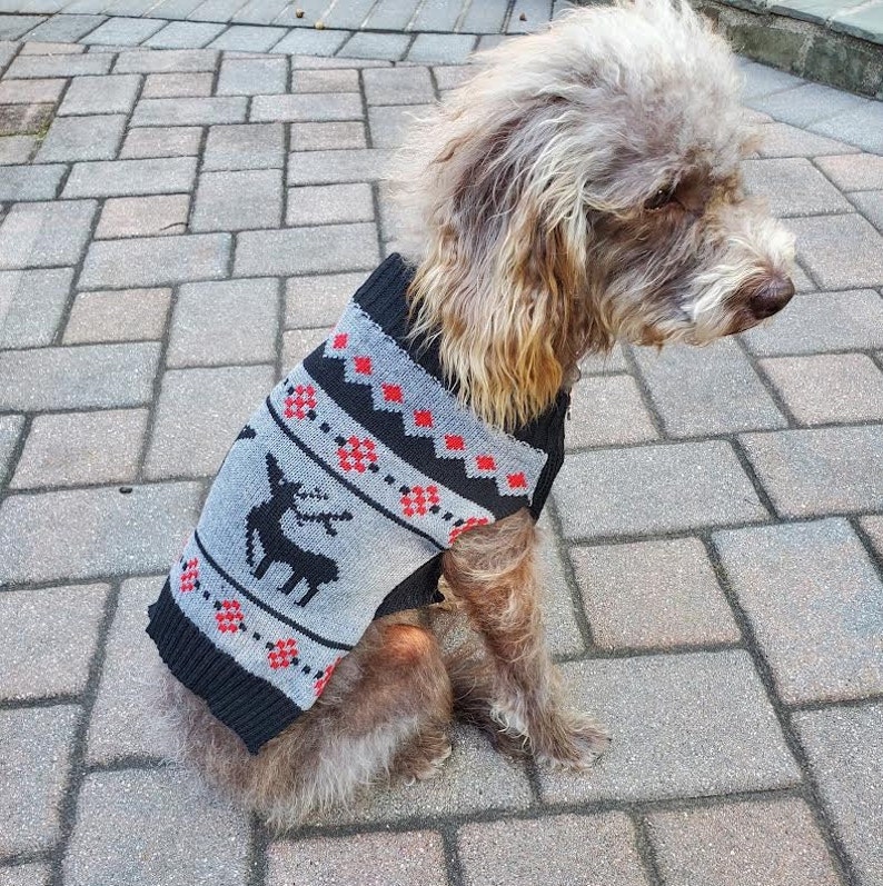 Christmas Dog Sweater Cute Festive Holiday Sweaters for Pets Etsy