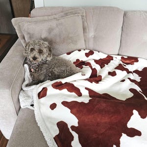 Ultra Soft Faux Fur Lounge Blankets, Assorted Pattern Thermal Cozy Throw Blankets