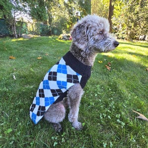 Puede incluir: Un suéter para perro con un patrón de rombos clásico en tonos negro, blanco y azul brillante. La prenda cuenta con un cuello y bordes acanalados en color negro sólido, diseñado para ajustarse al torso y cuello de un perro de tamaño pequeño.
