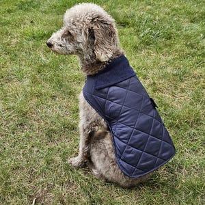 Könnte beinhalten: Ein grauer Pudel sitzt auf grünem Gras und trägt einen marineblauen, gesteppten Hundemantel mit geripptem Kragen. Der Mantel hat ein Rautenmuster und bedeckt den Rücken und die Seiten des Hundes und bietet Wärme und Stil.