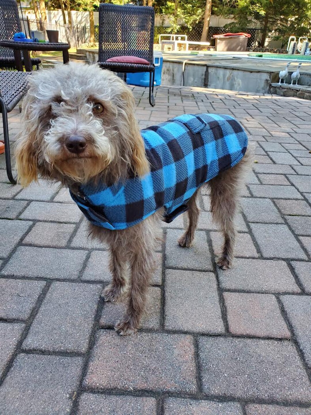 Fashionable Plaid Dog Jacket, Cute Pet Clothing, Comfy Dog Winter Coat, Pet Vest, Warm Dog