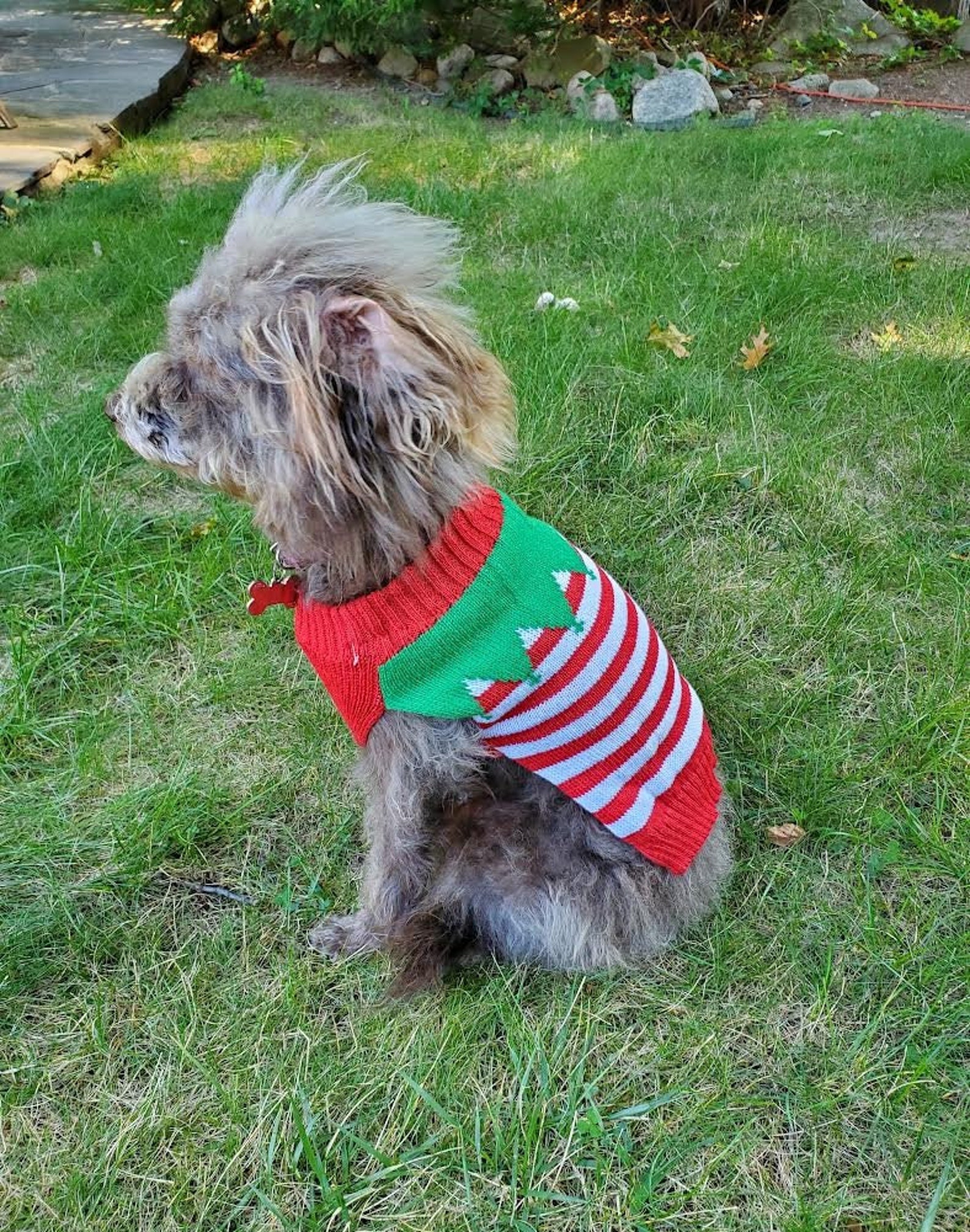 Christmas Dog Sweater Cute Festive Holiday Sweaters for Pets Etsy