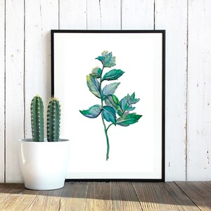 Mint Fine Art Print, Mint Digital Print, Digital Print of Mint Herb