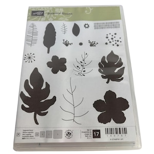 Lot de 17 tampons acryliques Stampin Up Fleurs botaniques Feuilles Nature