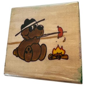 Impresionante campamento con sello de goma, fogata, oso, camping, cocina, perrito caliente, relajación de verano