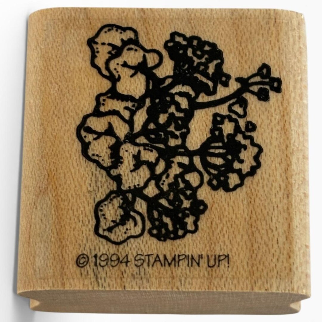 Stampin up Rubber Stamp Flowers Geraniums Floral Spring Garden Mums ...