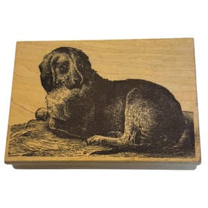 Ilustración de perro con sello de goma magenta. Animal de compañía, naturaleza. Fabricación de tarjetas.