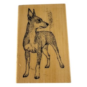 Galleria di francobolli Timbro di gomma Cane Pinscher nano in piedi Famiglia Animale domestico