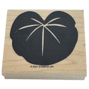 Carimbo de borracha Stampin Up Lily Pad Natureza Ao Ar Livre Fundo Madeira Montado Artesanato