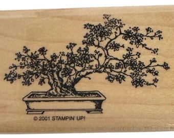 Stampin Up Stempel Bonsai Baum Asiatische Pflanze Kirschblüte Kartenherstellung Handwerk