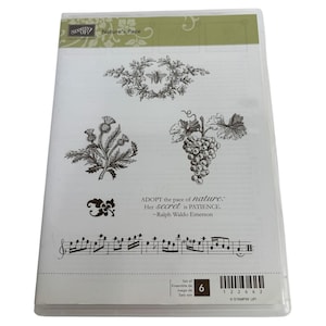 Stampin Up Natures Pace Clear Mount Rubber Stamps Grapes Music Border Bee Set 6