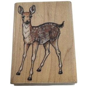 Rubber Stampede - Fauve Cerf, animal de la forêt, alerte nature, monture sur bois