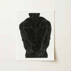 May include: A black and white anatomical print showing the posterior view of the human back muscles. The illustration features a solid black silhouette of the upper torso with thin white outlines defining individual muscle groups, each labeled with a small white number.