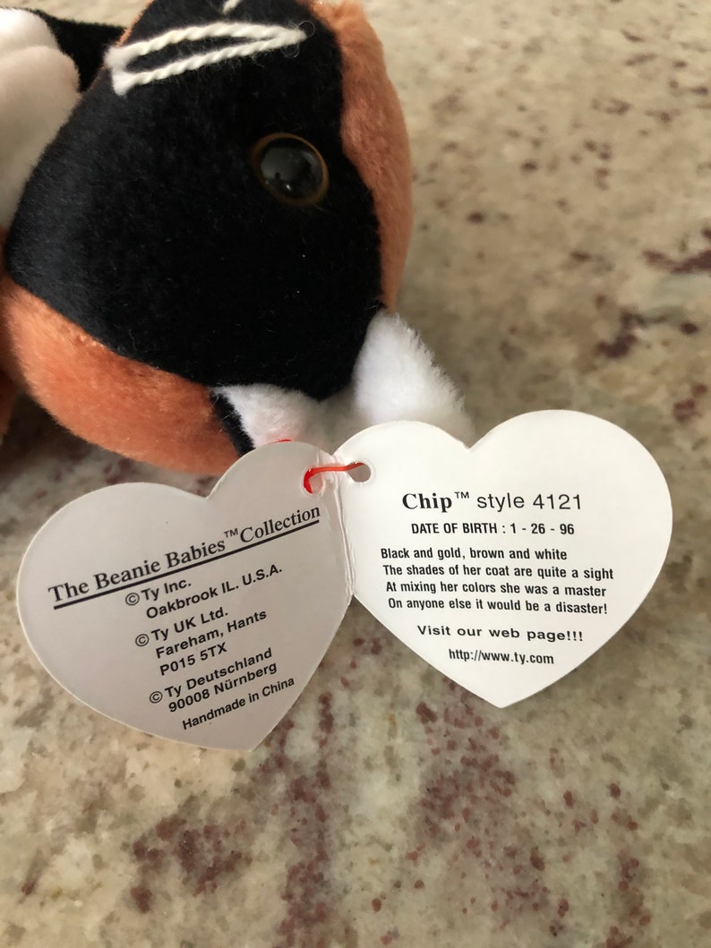 Ty Beanie Baby Chip PVC Very Rare With Pink Heart Tag And Etsy