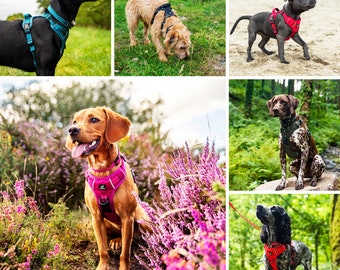 Everyday Dog Harness, Harnesses For Dogs, Padded Harness, Puppy Harness, Doggy Harness, Reflective Dog Harness, No Pull Harness XS-XL