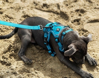 Elegante arnés para perros sin tirones, arnés para perros antitirones, arnés reflectante para perros, collar para perros, correa para perros, correa para perros, juego para pasear perros, XS - XL