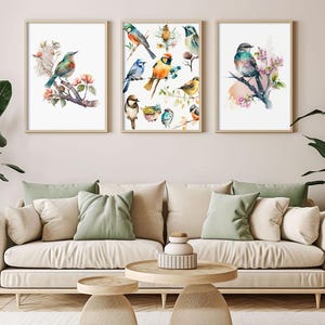 Set di 3 poster di uccelli acquerellati, stampe da parete con uccelli da giardino, arte floreale, galleria botanica, stampe ad acquerello, uccelli colorati, decorazione per il soggiorno