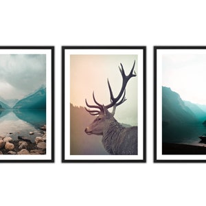 May include: A set of three framed prints featuring a misty mountain lake scene, a close-up of a deer's head, and a distant view of a lake with a boat.
