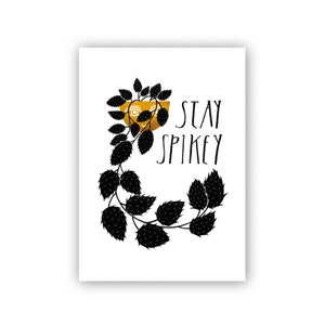 Pflanze im Topf / Topfpflanze / Grußkarte / Postkarte