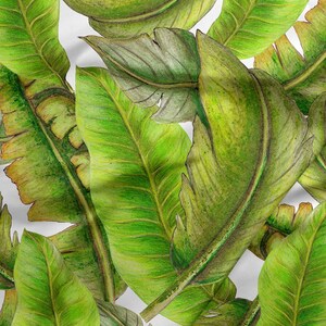 Tela impermeabile / Tessuto Codura / Tessuto canvas impermeabile / 200g / Tessuto giacca / tessuto tagliato a misura / Giungla / Foglie di banano / tropicale
