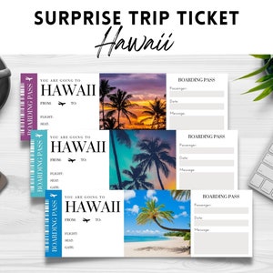 Druckbare, bearbeitbare HAWAII Surprise BOARDING Pass TICKET Vorlage, Reiseticket nach Hawaii, Geburtstags-Urlaubs-Geschenk, Sofortiger Download Pdf