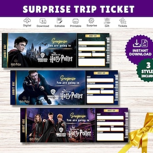 DRUCKBARE Tour Surprise Trip Reveal Tickets - SOFORTIGER Download PDF