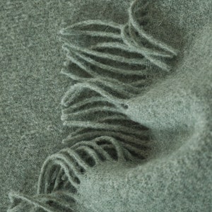 May include: A soft, sage green scarf with a fringed edge. The scarf is made of a fuzzy, textured fabric.