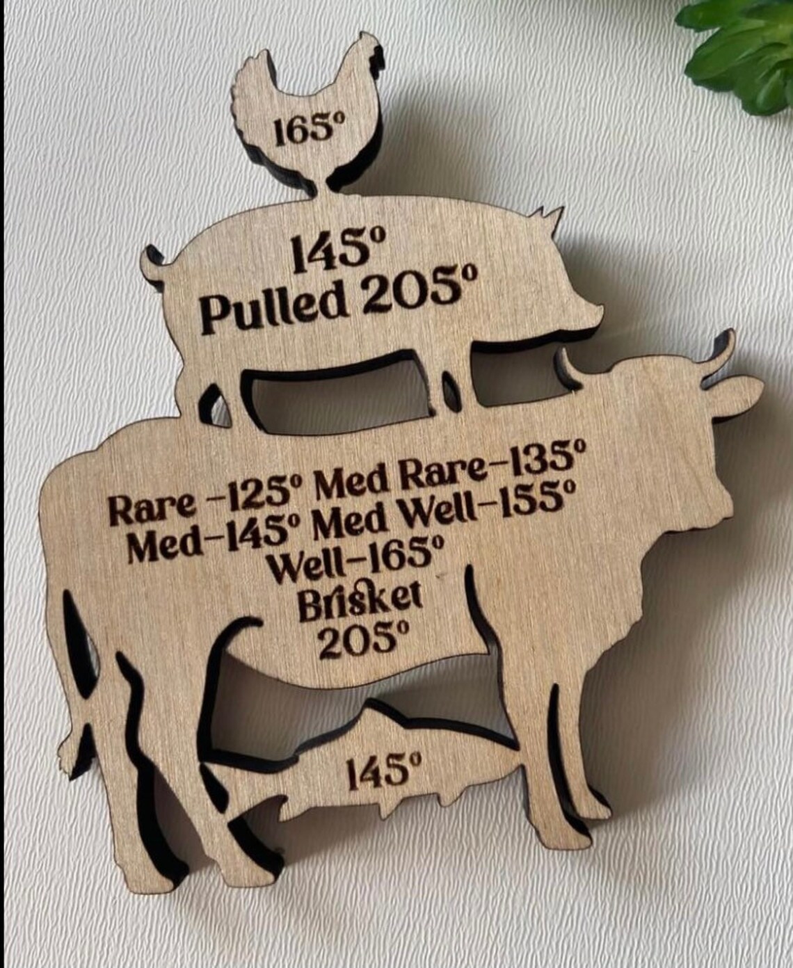 Meat Temperature temperature cooking grilling Etsy