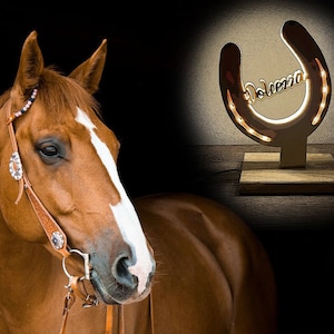 Horseshoe Lamp, Personalized Bedside Lamp, Horse Name LED Lamp, Gift, Lucky Charm